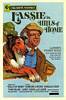 Hills of Home (1948) Thumbnail