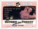 Beyond the Forest (1949) Thumbnail