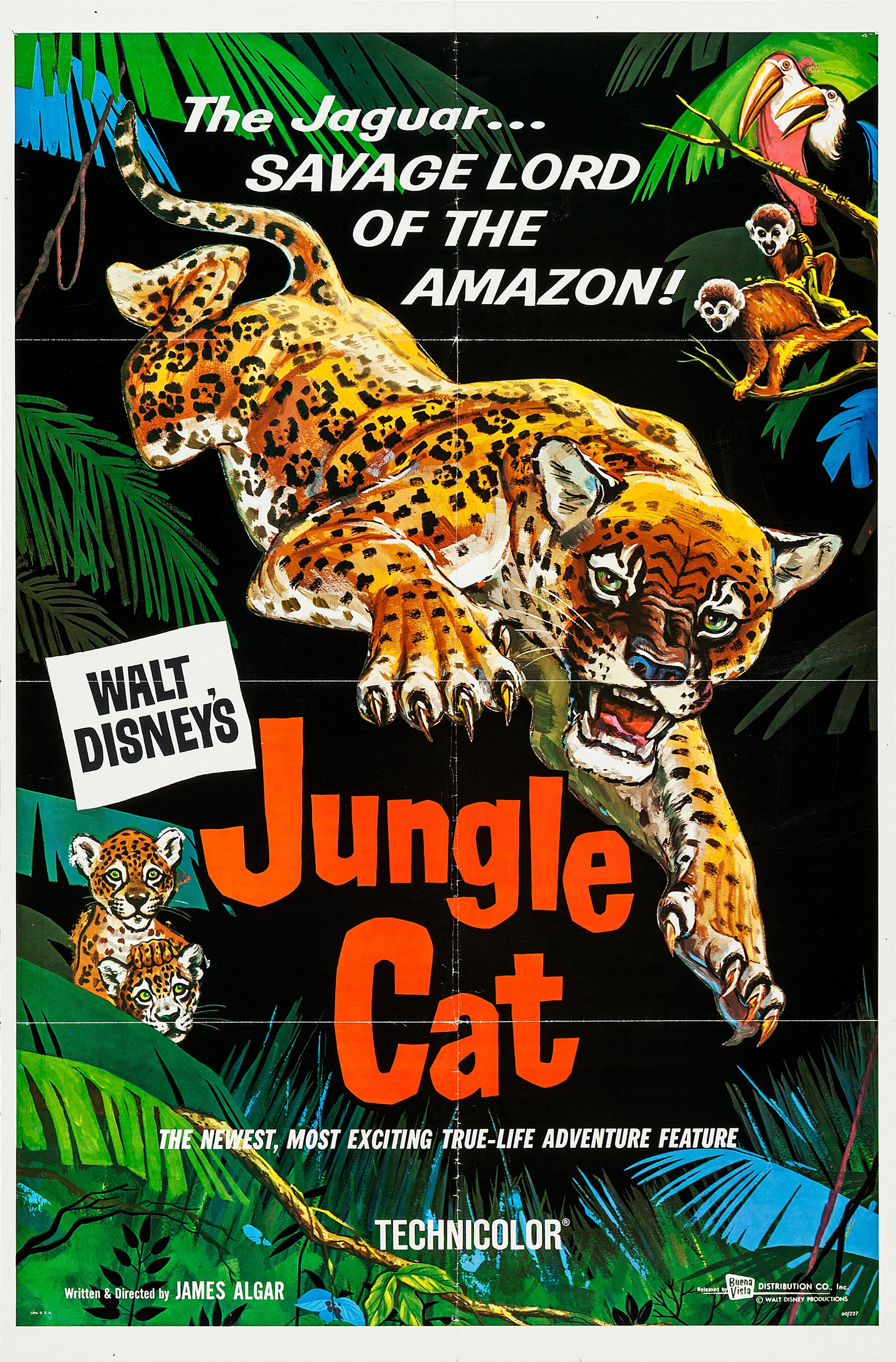 Mega Sized Movie Poster Image for Jungle Cat 