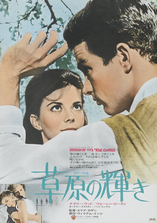 Splendor in the Grass Movie Poster