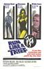 Run Like a Thief (1968) Thumbnail