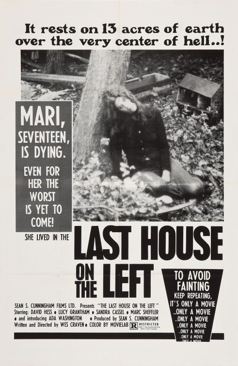 The Last House on the Left Movie Poster