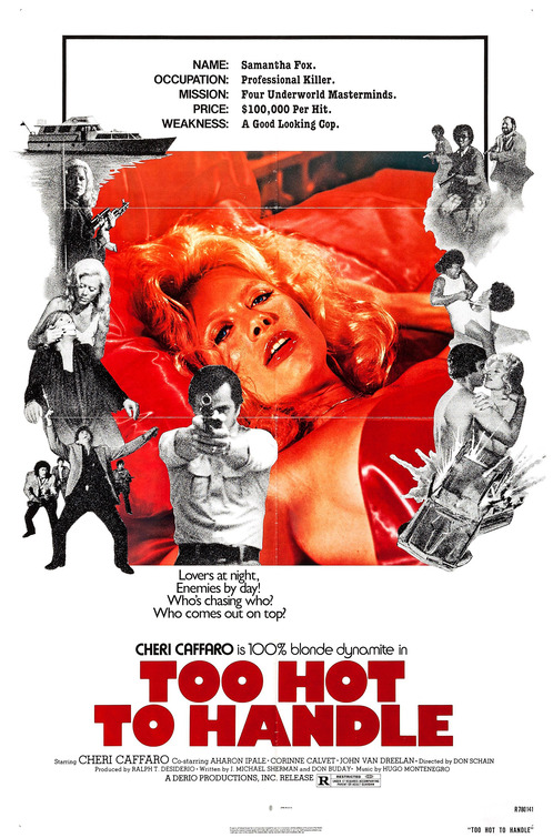 Too Hot to Handle Movie Poster