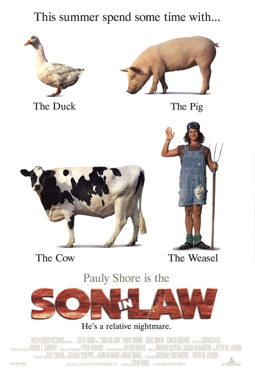 Son in Law Movie Poster