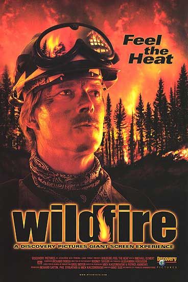 Wildfire Movie Poster