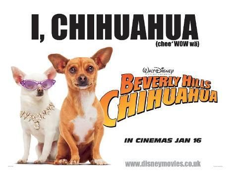 Beverly Hills Chihuahua Movie Poster