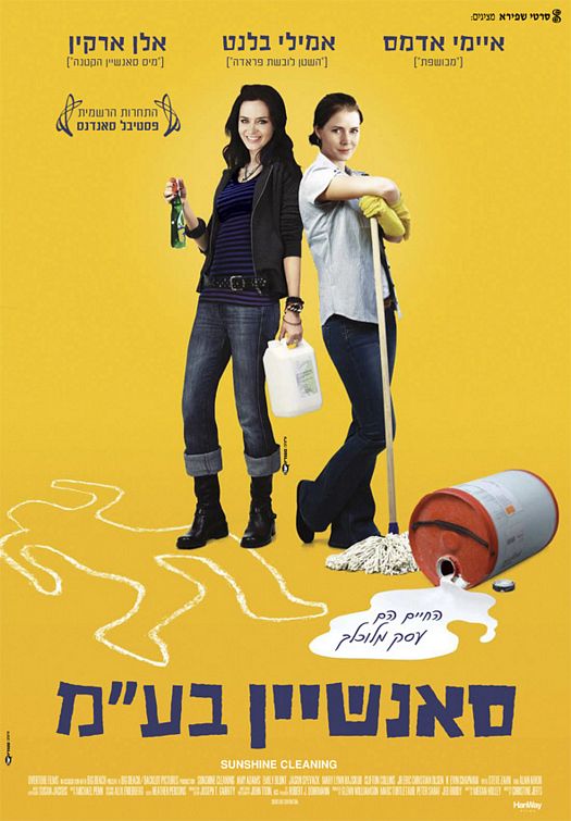 Sunshine Cleaning Movie Poster