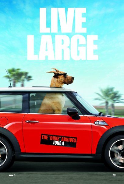 Marmaduke Movie Poster