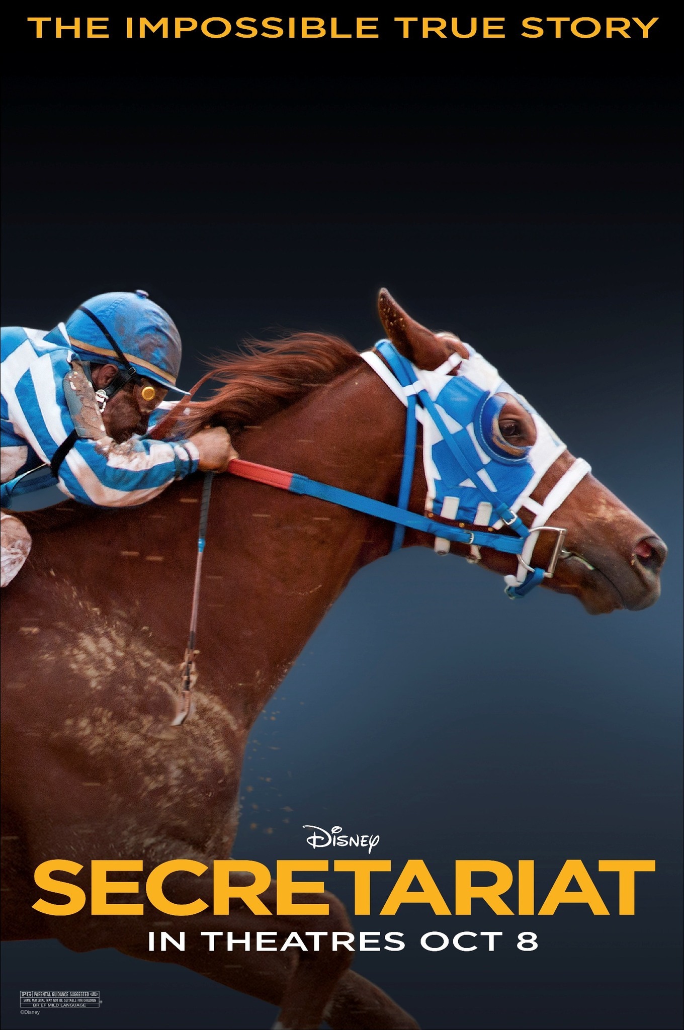 Mega Sized Movie Poster Image for Secretariat (#2 of 2)