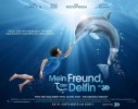 Dolphin Tale (2011) Thumbnail