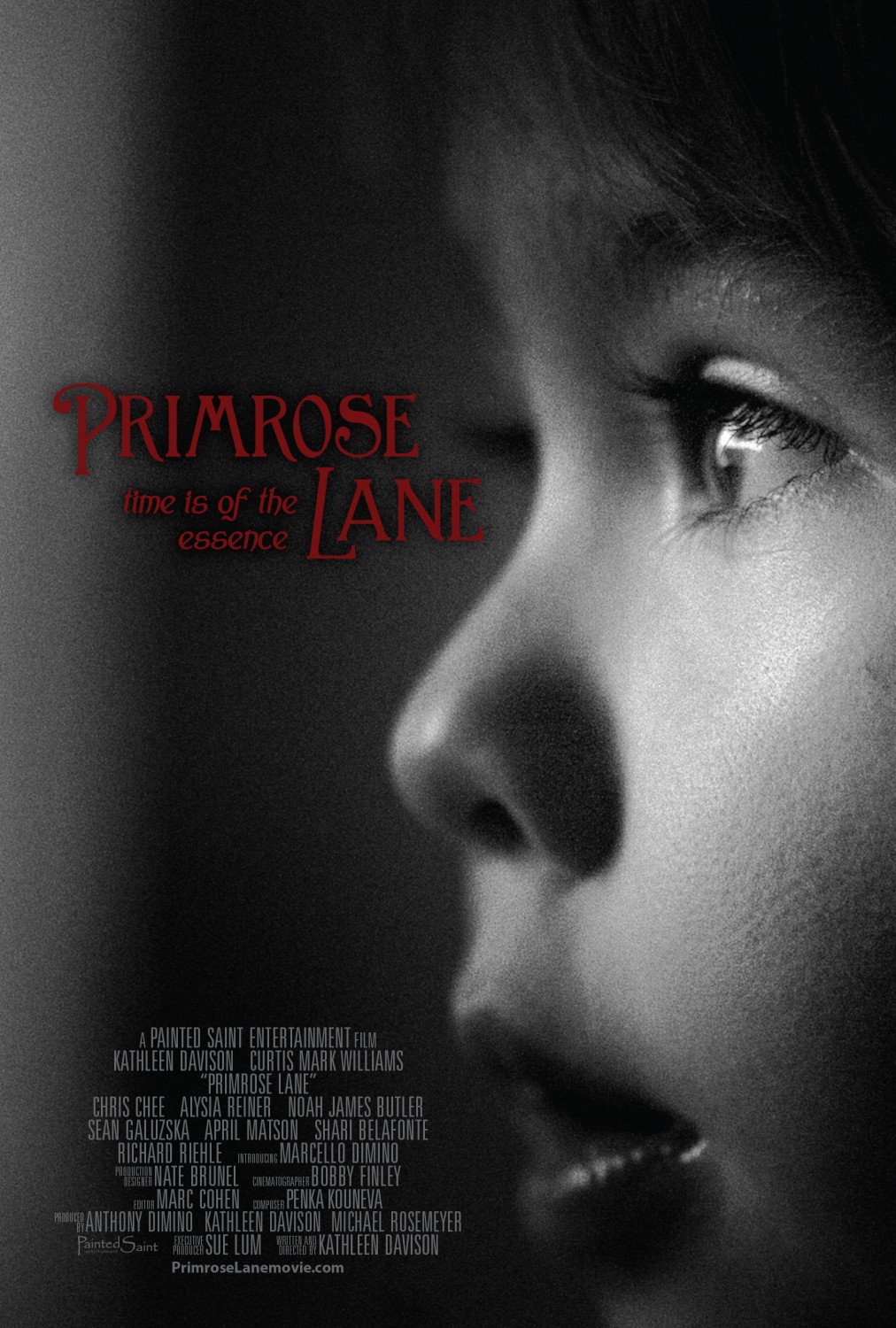 Extra Large Movie Poster Image for Primrose Lane 