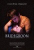 Bridegroom (2013) Thumbnail