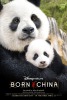 Born in China (2016) Thumbnail