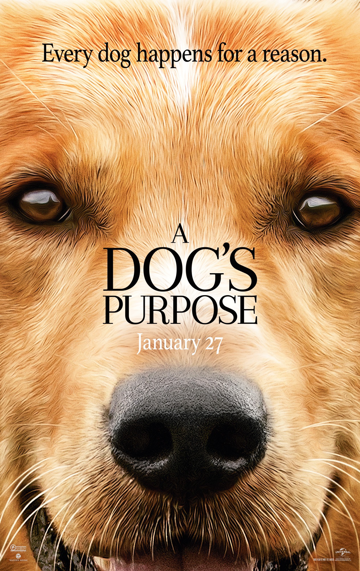 Mega Sized Movie Poster Image for A Dog's Purpose (#1 of 14)