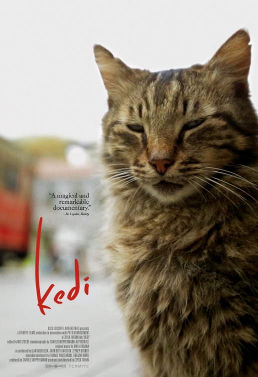 Kedi Movie Poster