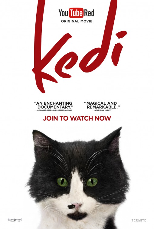 Kedi Movie Poster