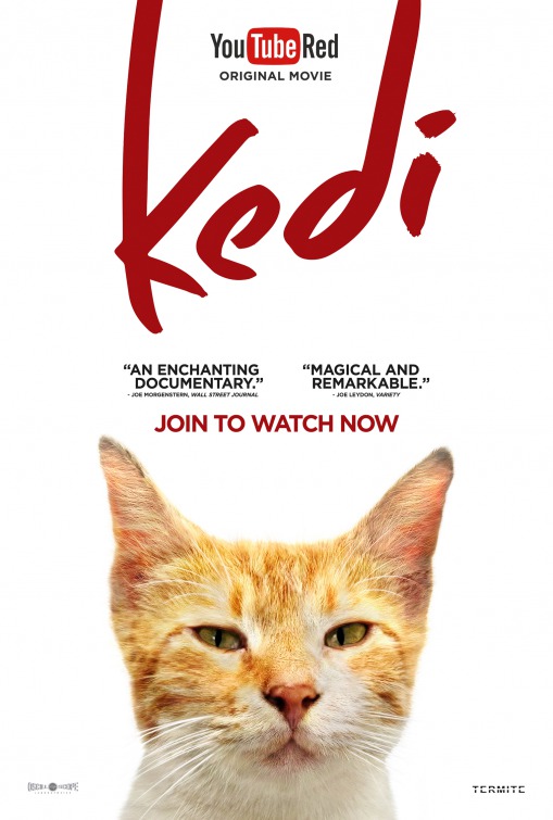 Kedi Movie Poster