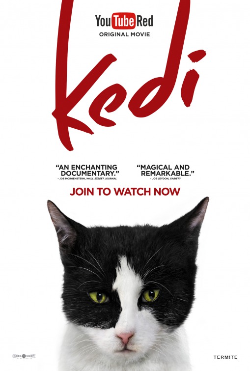 Kedi Movie Poster