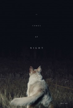 It Comes At Night Movie Poster