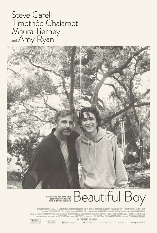 Beautiful Boy Movie Poster