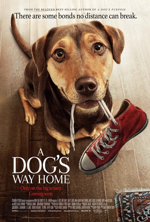 A Dog's Way Home Movie Poster