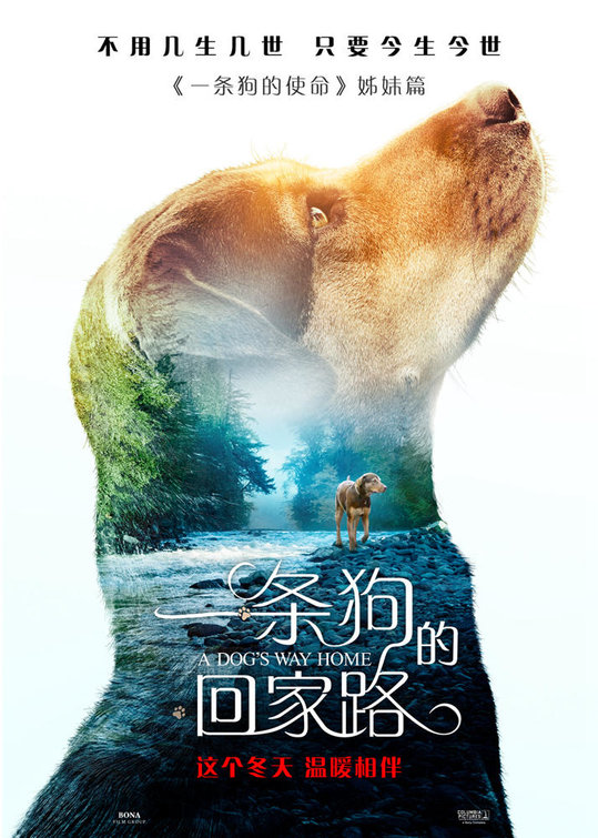 A Dog's Way Home Movie Poster