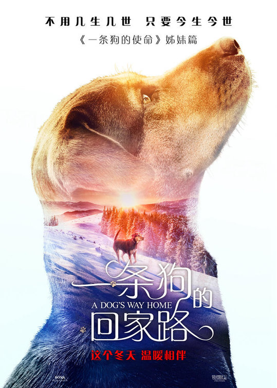 A Dog's Way Home Movie Poster