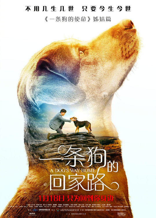 A Dog's Way Home Movie Poster