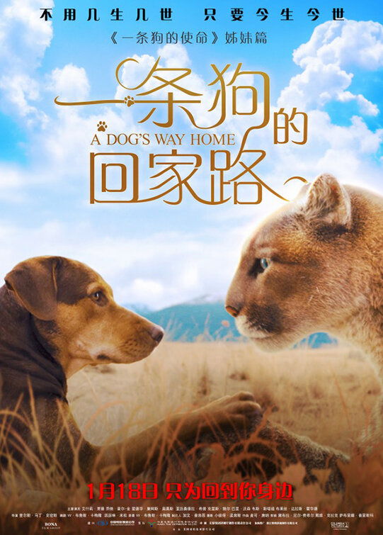 A Dog's Way Home Movie Poster