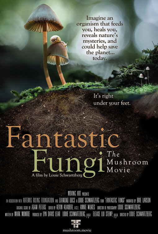 Fantastic Fungi Movie Poster