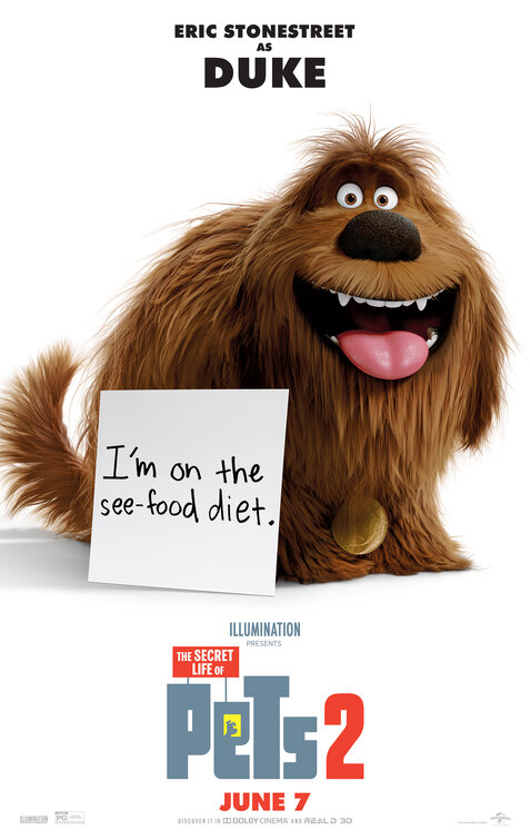 The Secret Life of Pets 2 Movie Poster