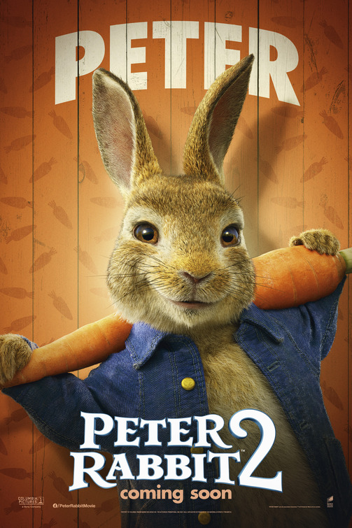 Peter Rabbit 2 Movie Poster