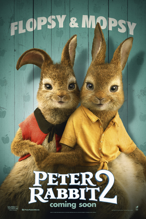 Peter Rabbit 2 Movie Poster