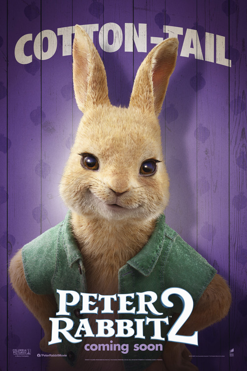 Peter Rabbit 2 Movie Poster