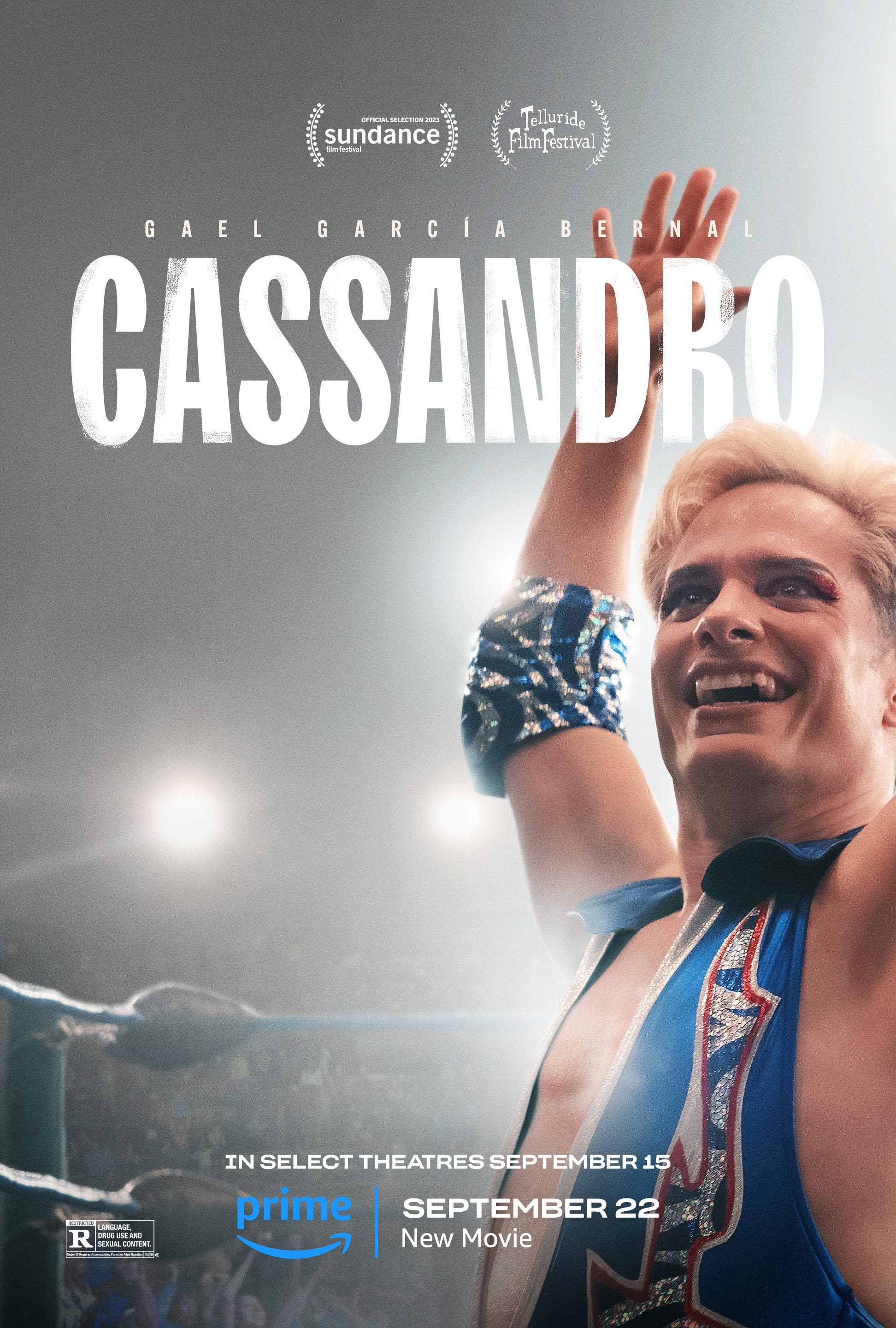 Mega Sized Movie Poster Image for Cassandro (#3 of 3)