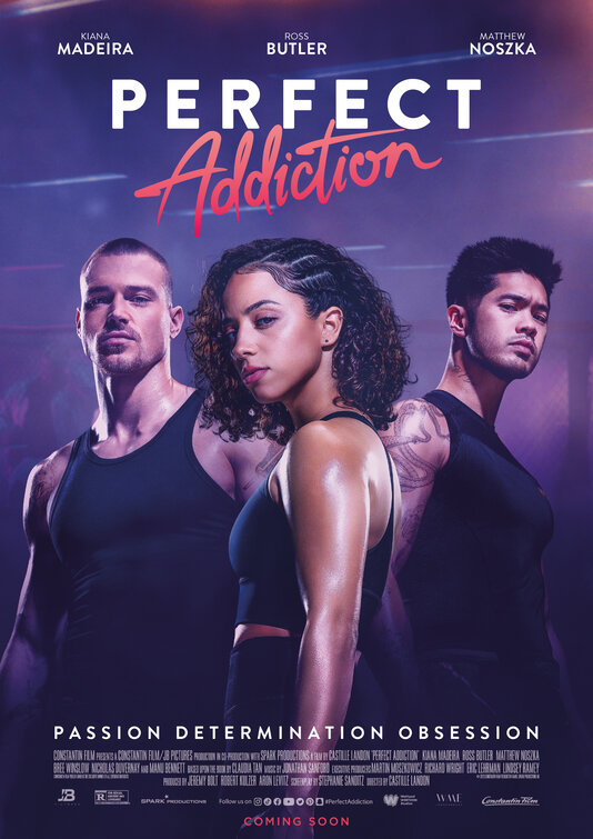 Perfect Addiction Movie Poster