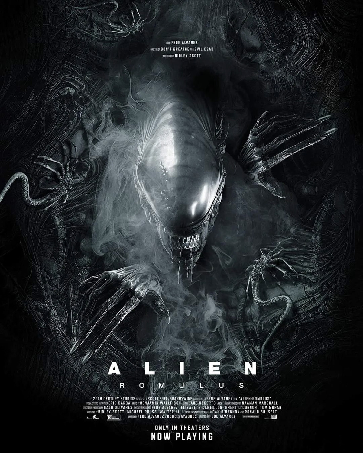 Extra Large Movie Poster Image for Alien: Romulus (#21 of 21)