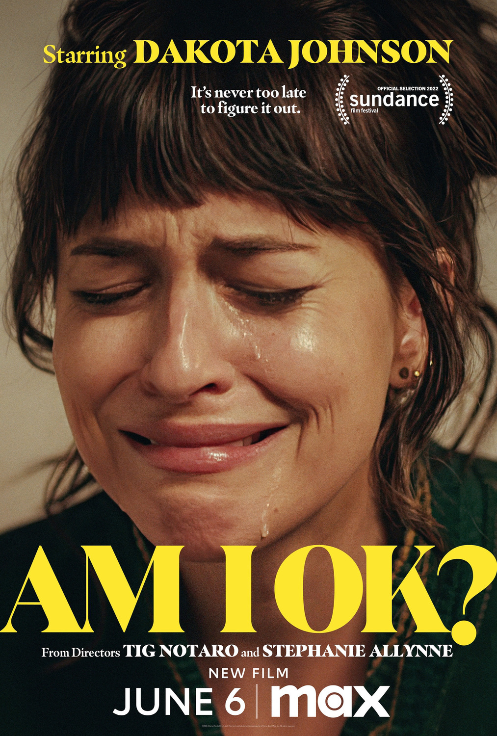 Extra Large Movie Poster Image for Am I OK? 