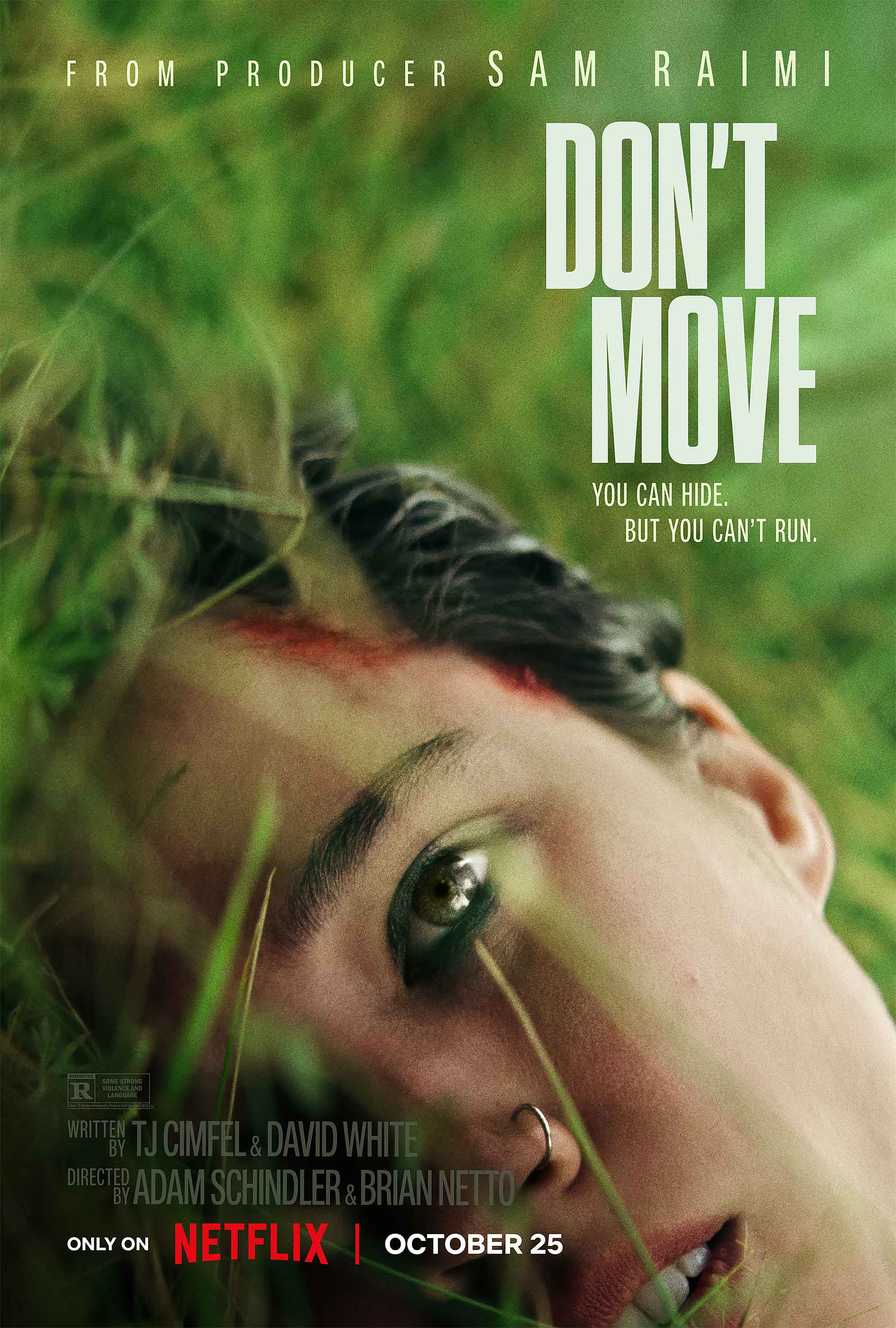 Mega Sized Movie Poster Image for Don't Move 