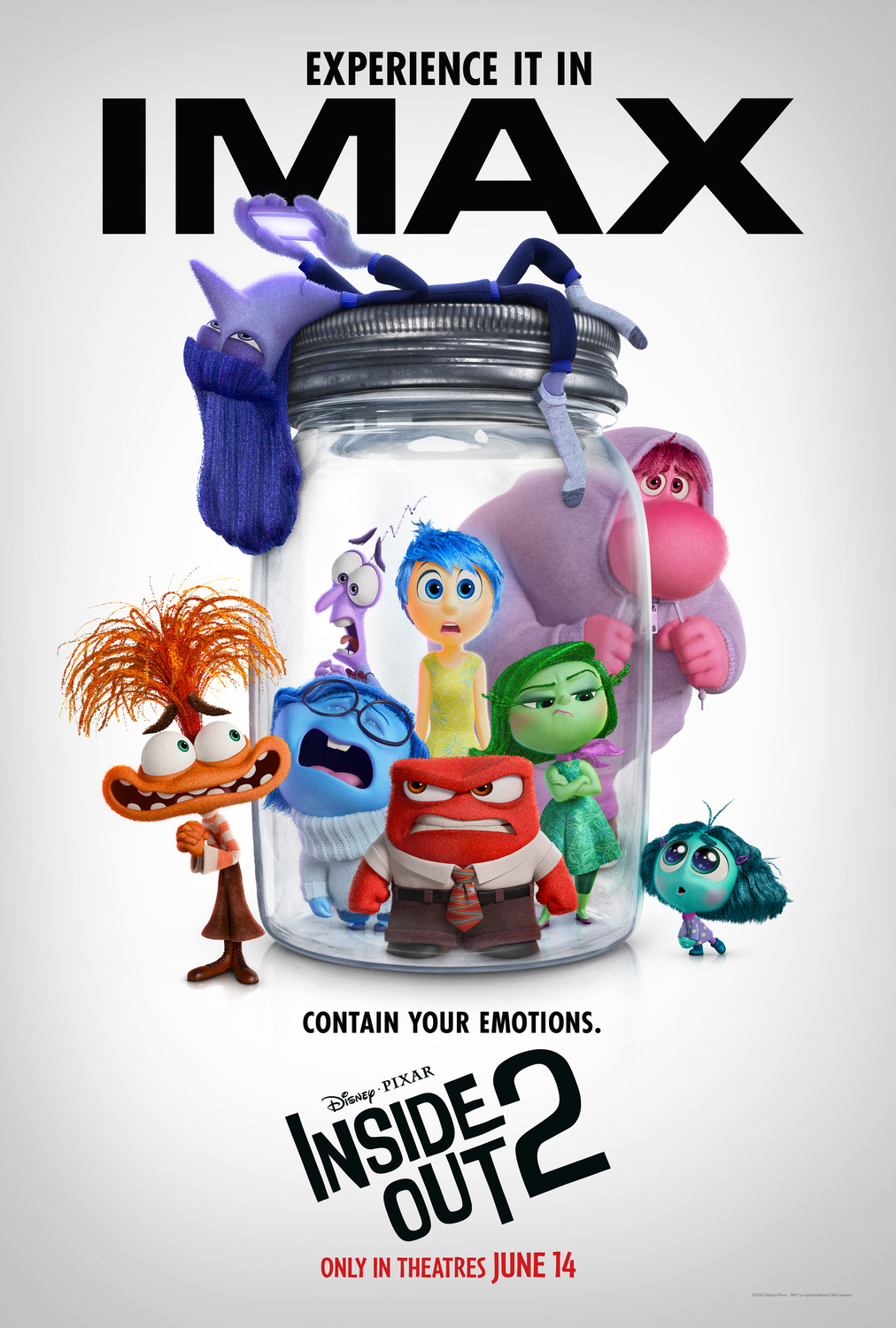 Extra Large Movie Poster Image for Inside Out 2 (#14 of 27)