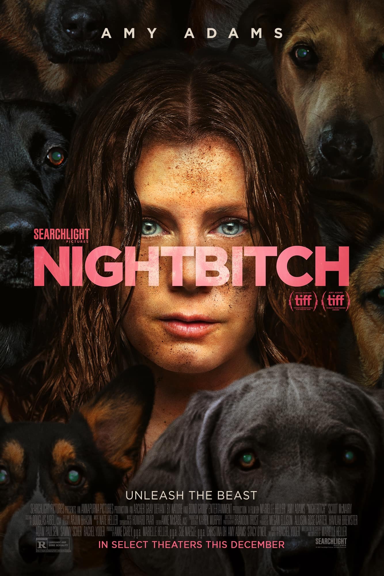 Mega Sized Movie Poster Image for Nightbitch (#2 of 2)