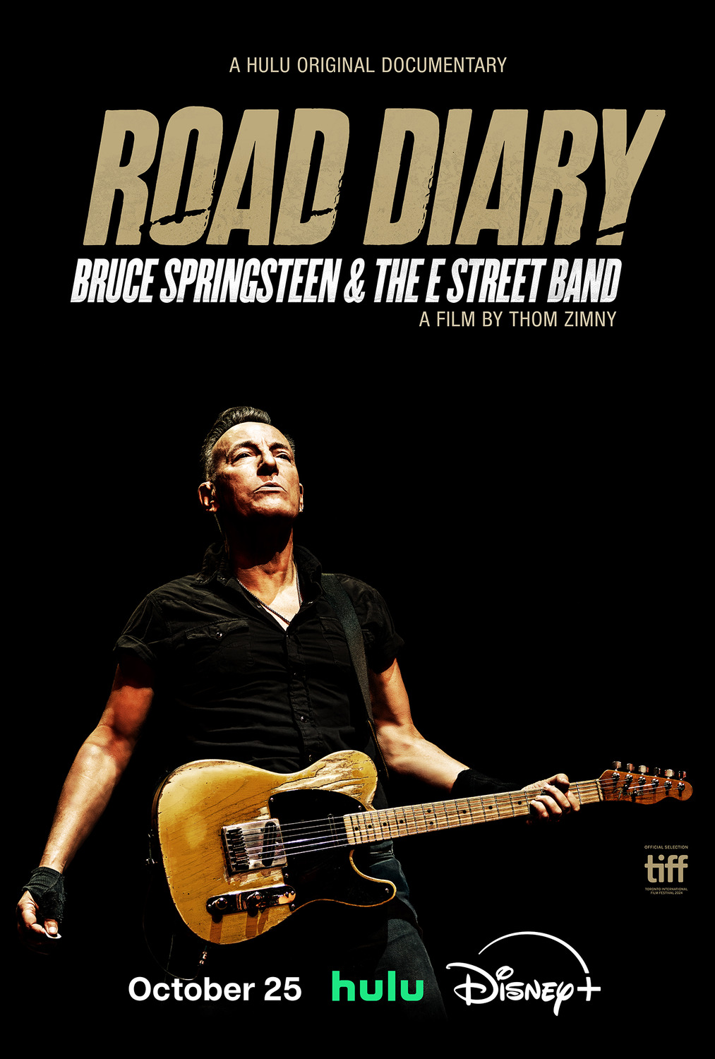 Extra Large Movie Poster Image for Road Diary: Bruce Springsteen and the E Street Band 