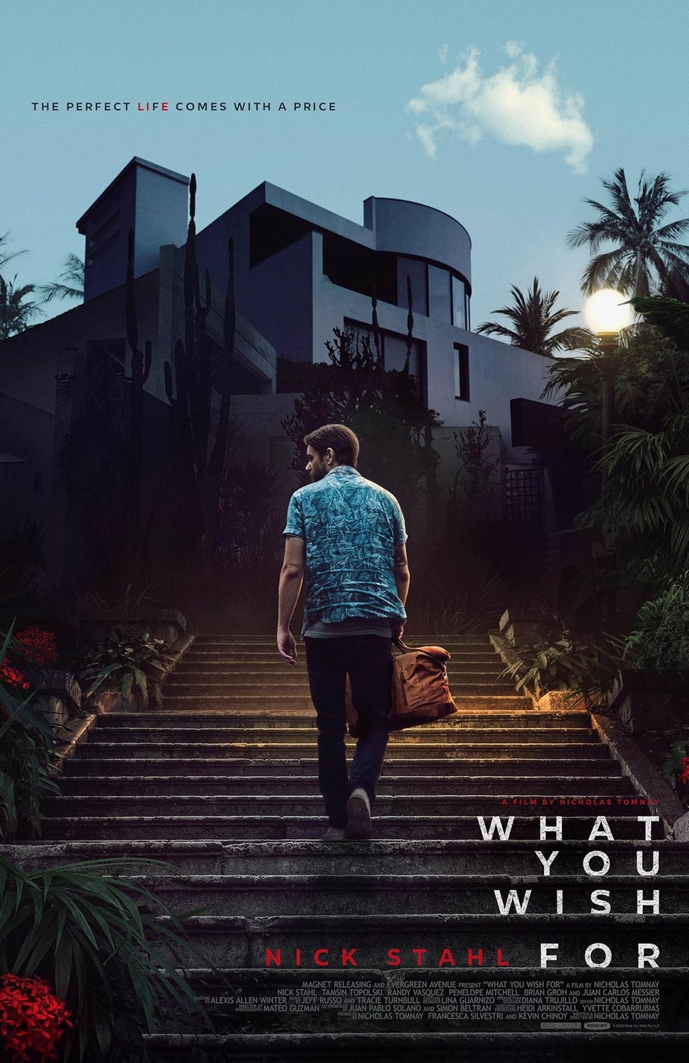 Extra Large Movie Poster Image for What You Wish For (#2 of 2)