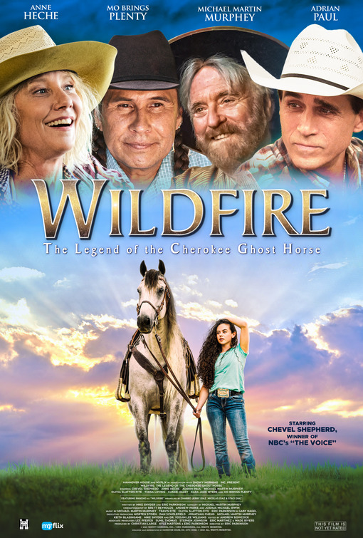 Wildfire Movie Poster