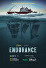 Endurance (2024) Thumbnail