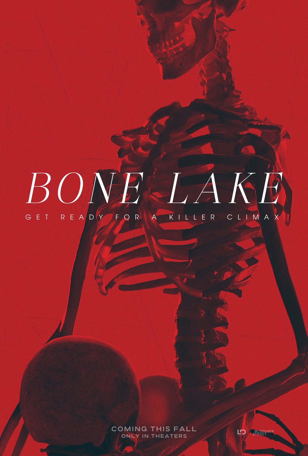 Extra Large Movie Poster Image for Bone Lake (#3 of 8)