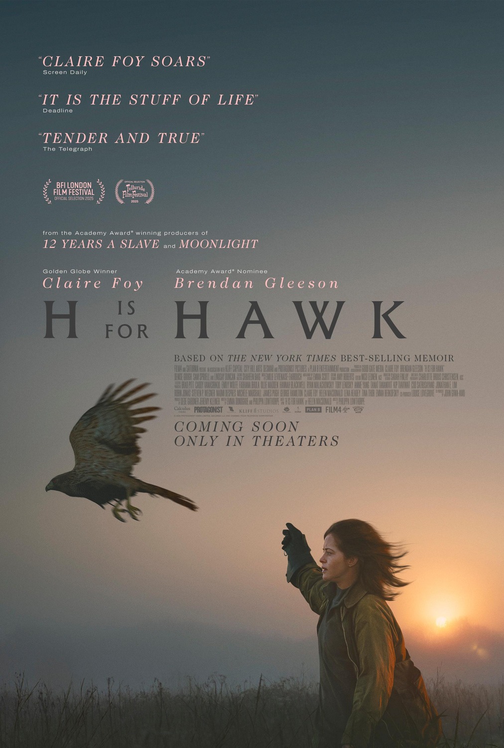 Extra Large Movie Poster Image for H Is for Hawk 