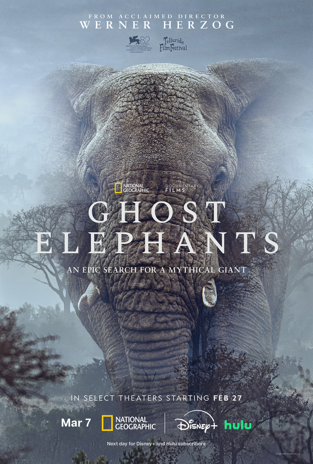 Extra Large Movie Poster Image for Ghost Elephants 