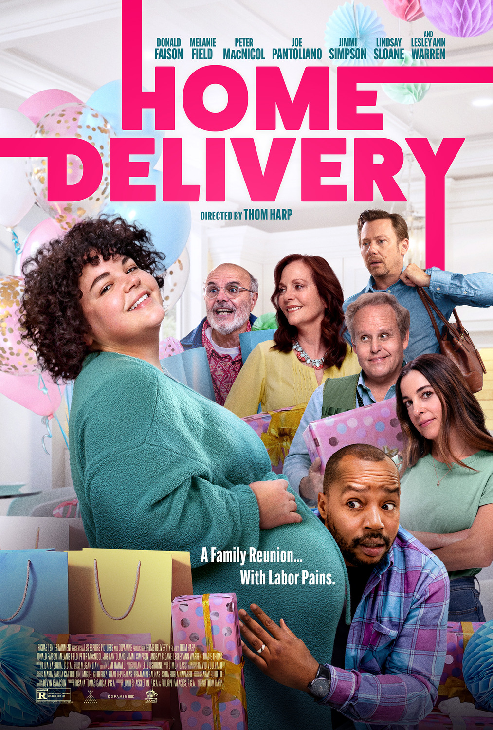 Extra Large Movie Poster Image for Home Delivery 