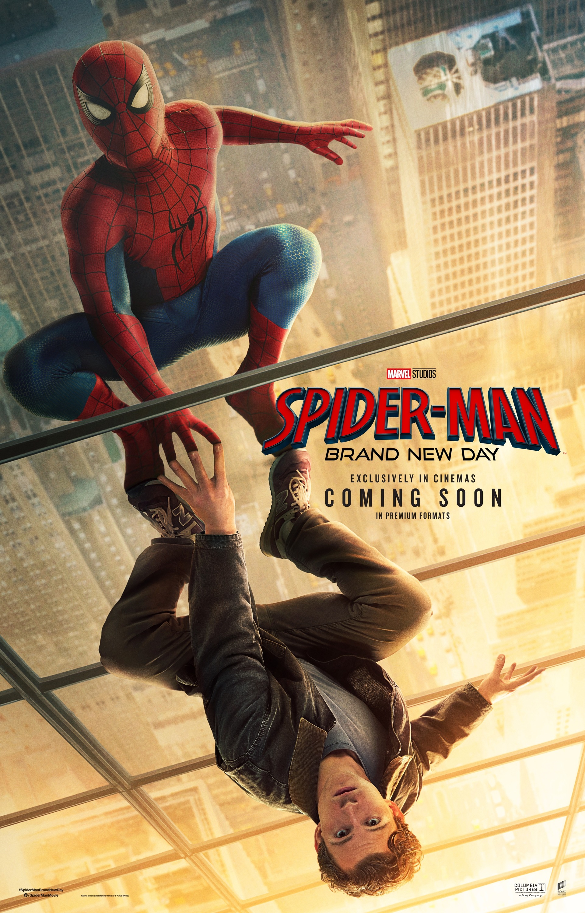 Mega Sized Movie Poster Image for Spider-Man: Brand New Day (#14 of 18)